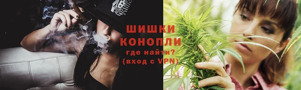 дживик Гусиноозёрск