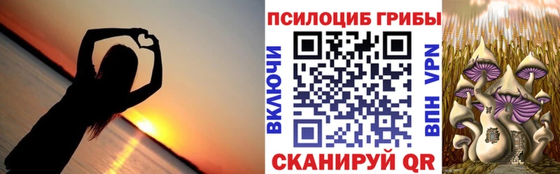 Галлюциногенные грибы мицелий Углегорск
