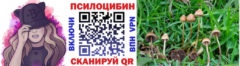Купить  Углегорск  Псилоцибиновые грибы ЛСД 